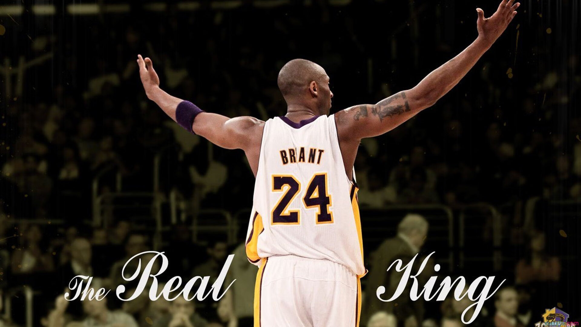 世界杯2026-从佛罗伦萨到委内瑞拉，基耶萨如何成为跨越洲际的关键先生